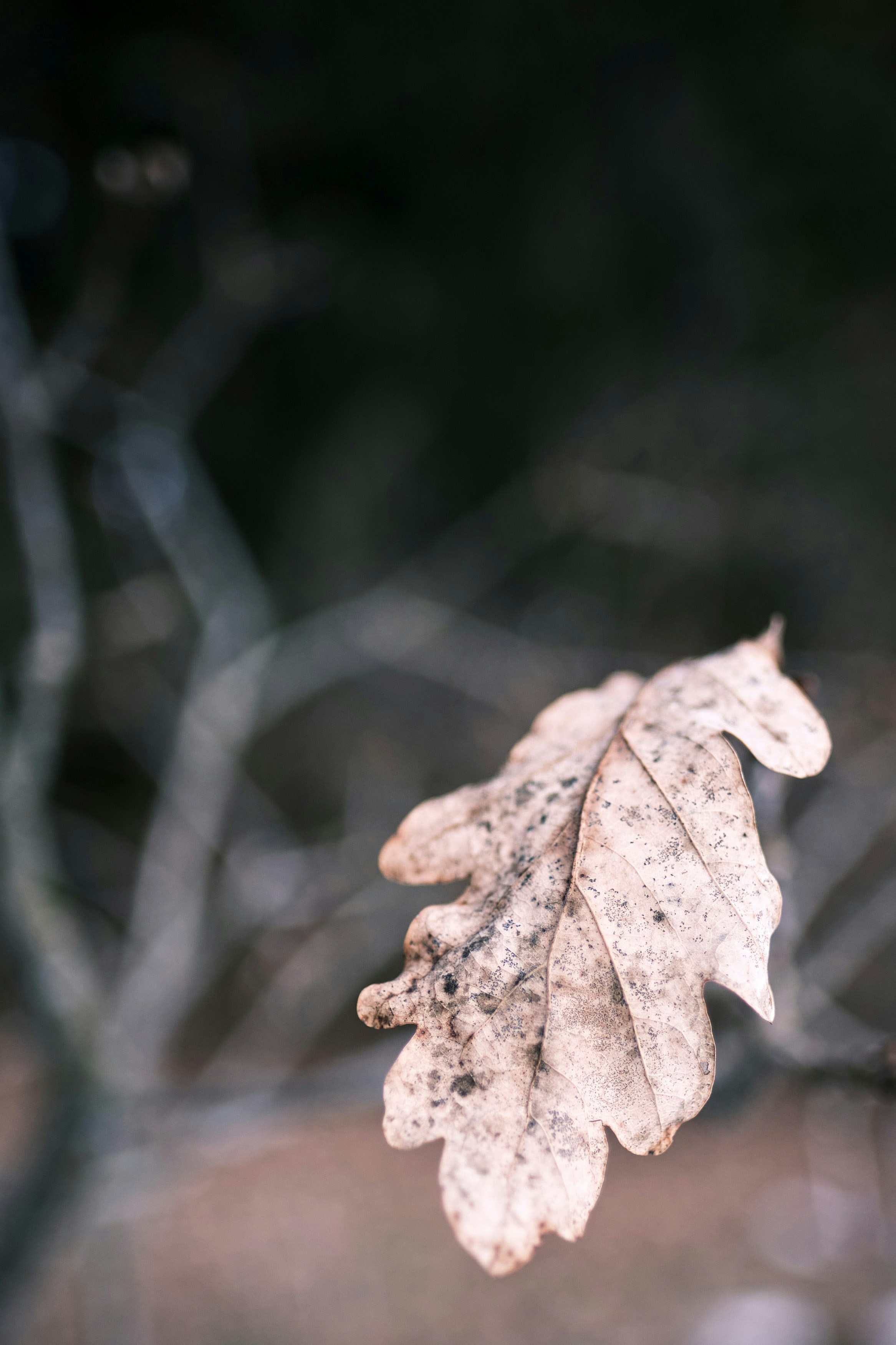 Photo by marcus_ganahl