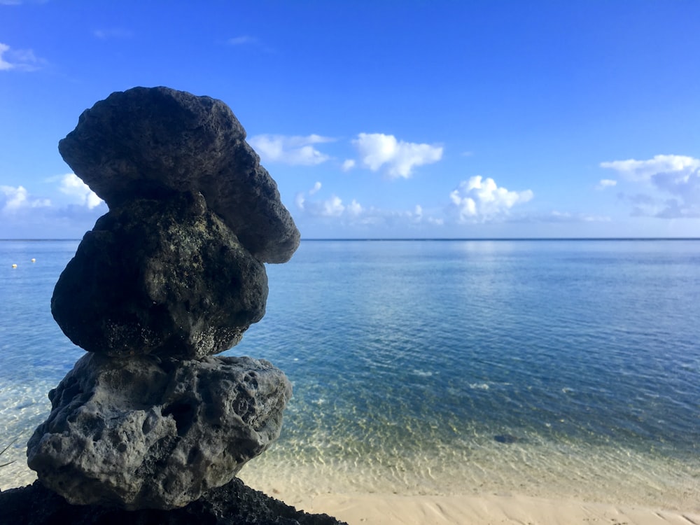 昼間の海岸の灰色の岩層