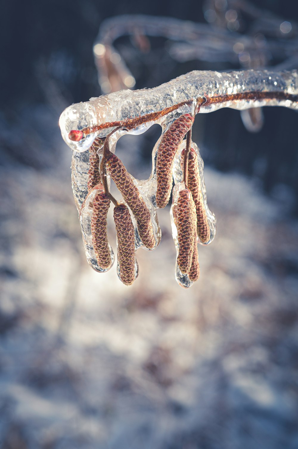 Braunes und weißes Seil in der Tilt Shift-Linse