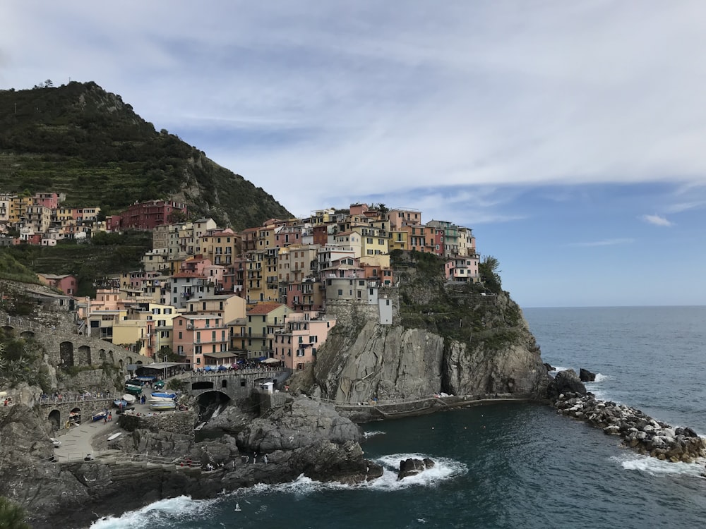 houses on mountain beside sea under blue sky during daytime