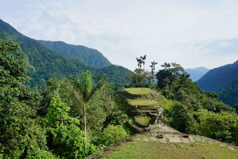 green trees on mountain during daytime