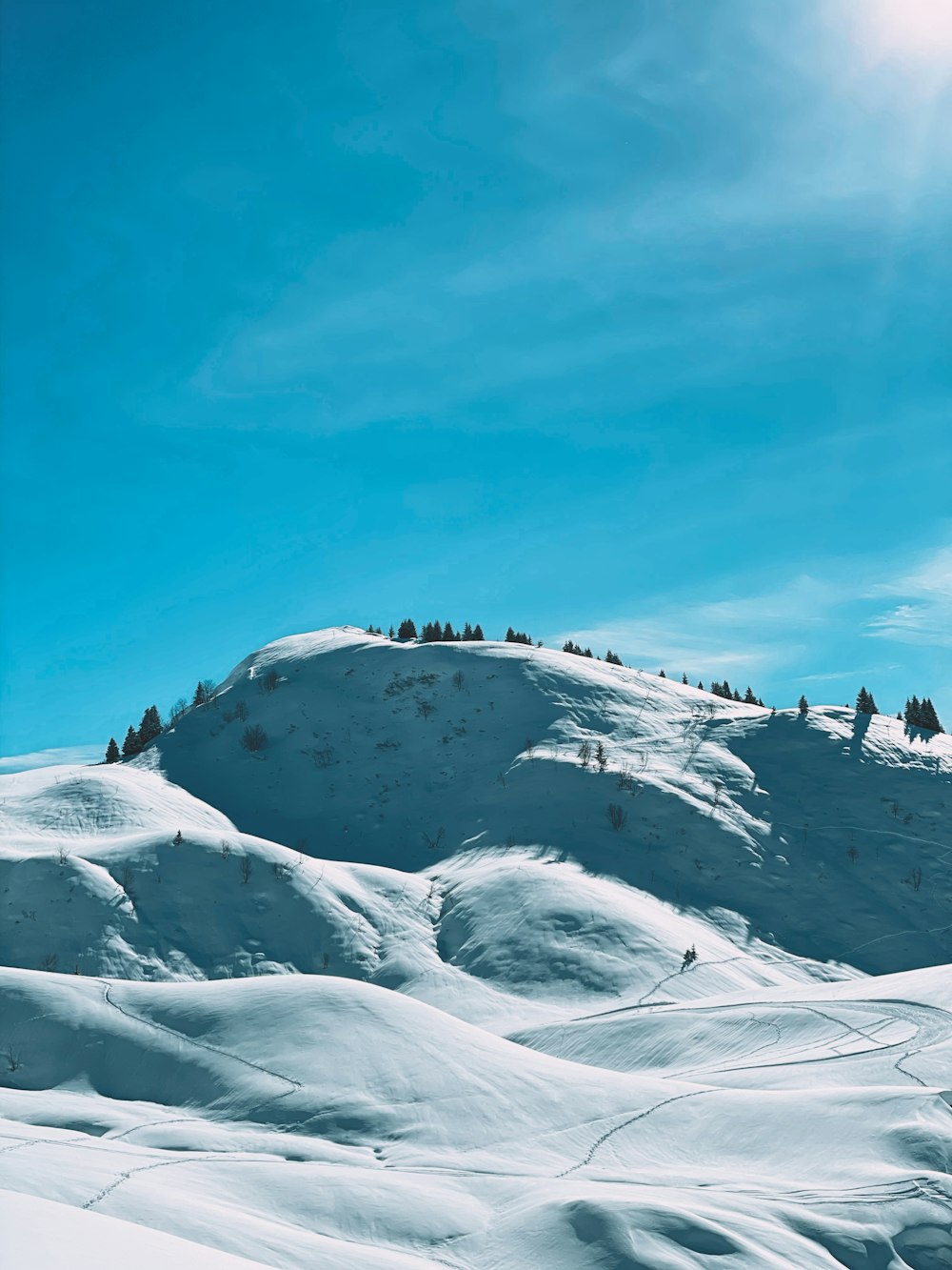 gente en la montaña cubierta de nieve bajo el cielo azul durante el día