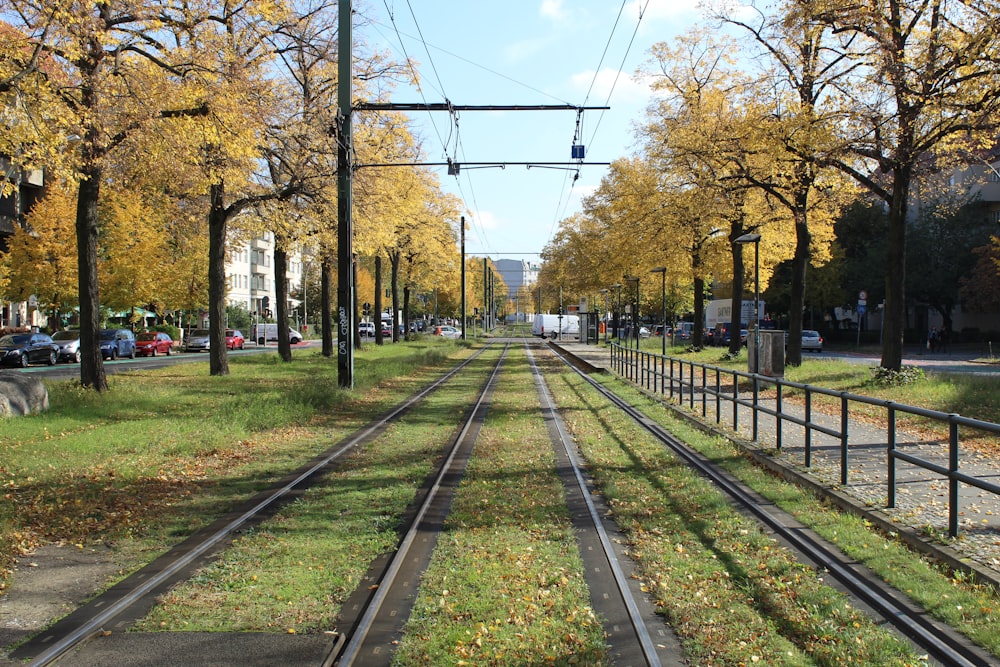 black metal train rail near trees during daytime