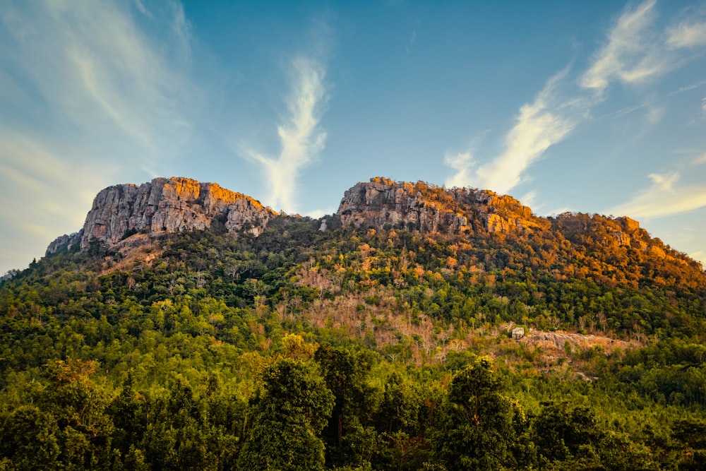 green trees on brown rocky mountain under blue sky during daytime