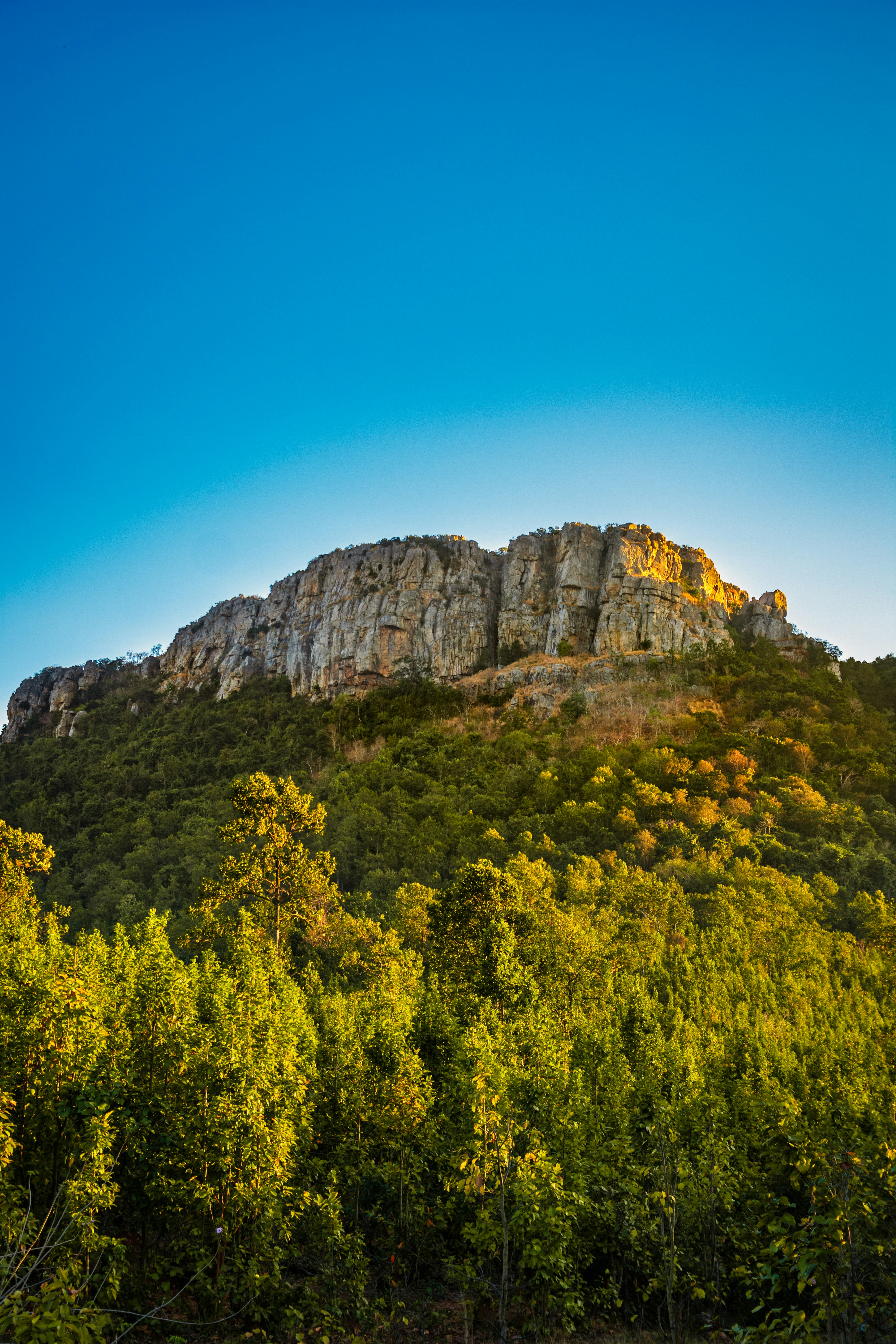 green trees on brown rocky mountain under blue sky during daytime
