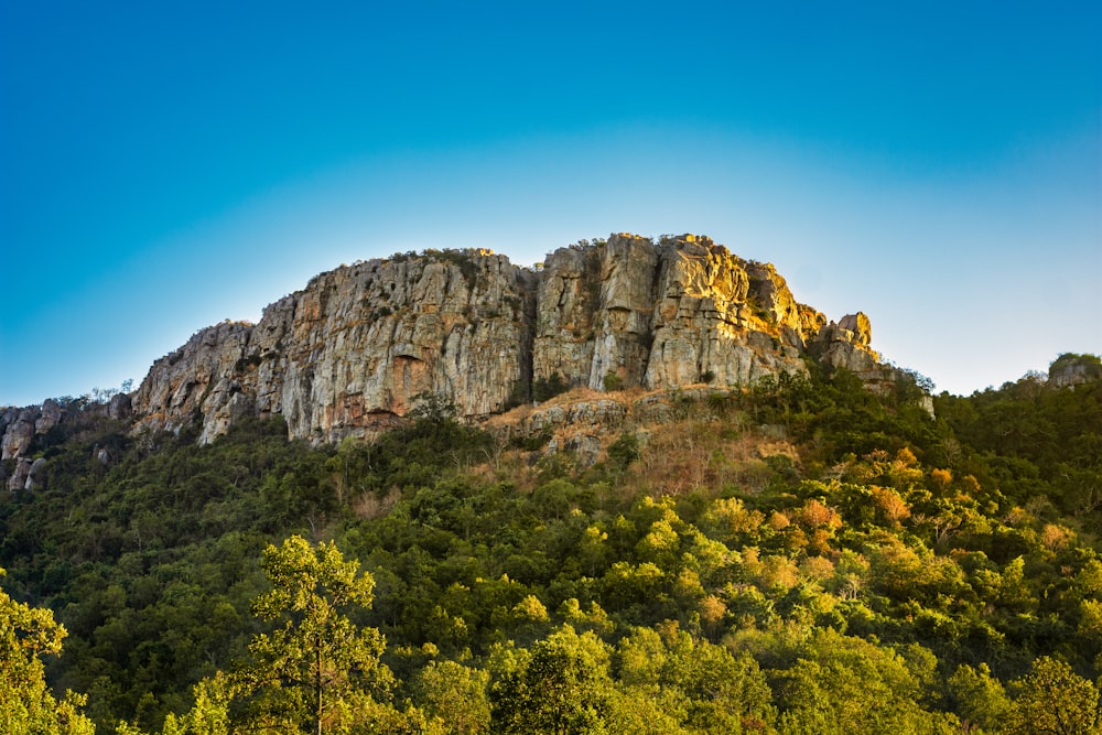 green trees near brown rocky mountain under blue sky during daytime