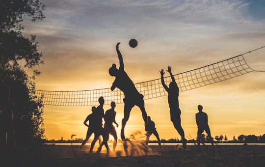 Volleyball Betting: Get the Tips Here