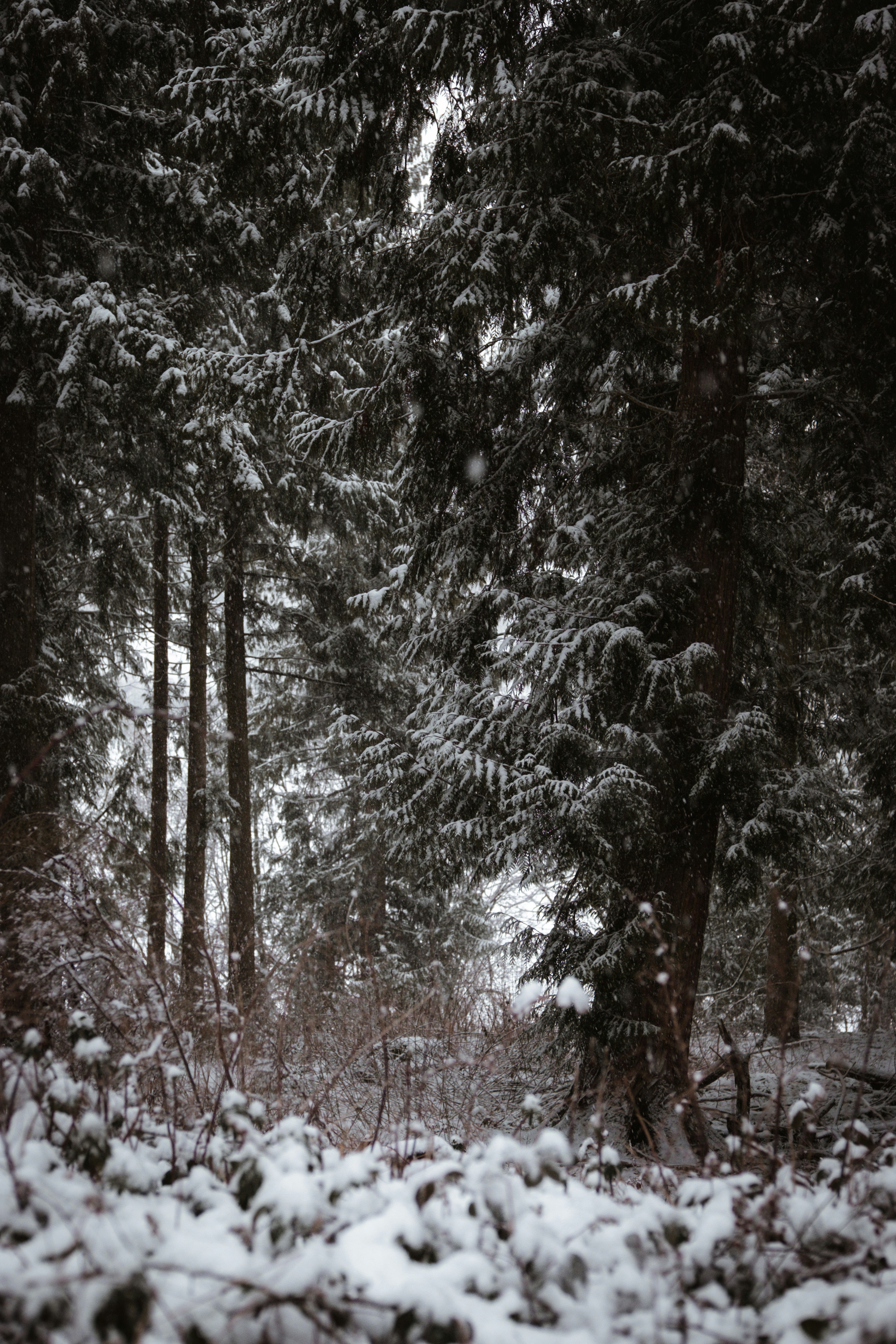 Photo by sumi_heartx