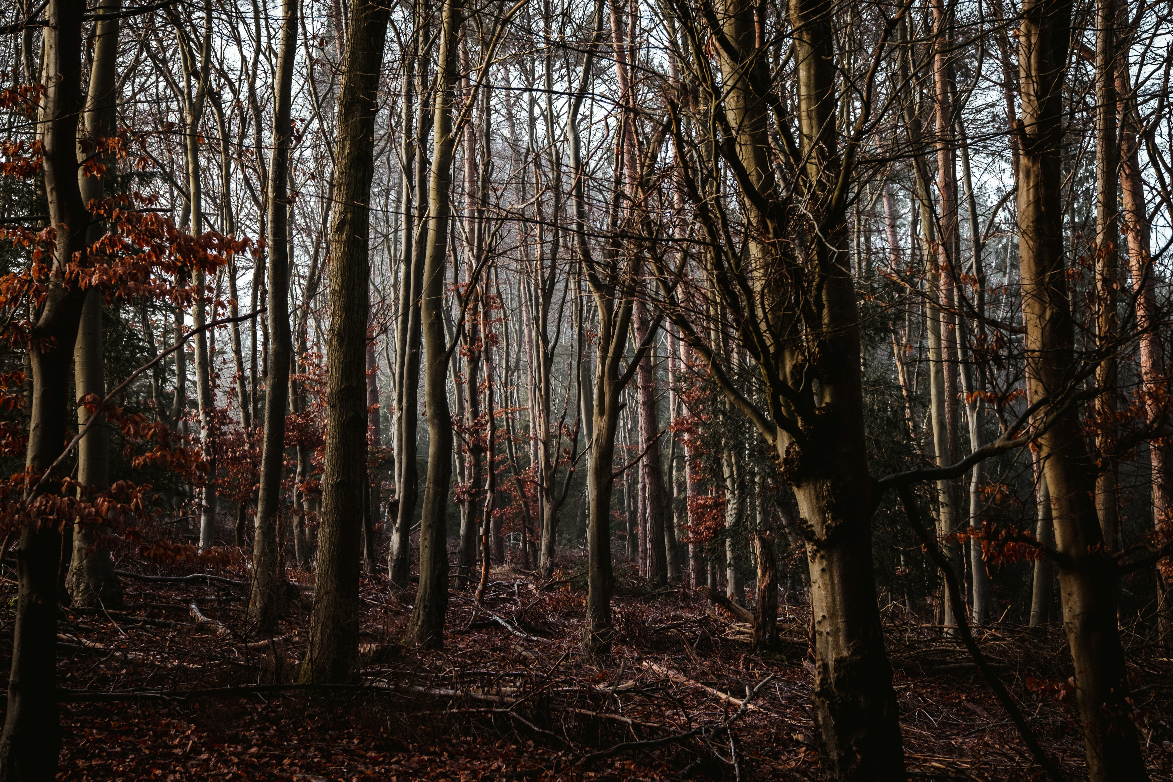 Photo by sumi_heartx