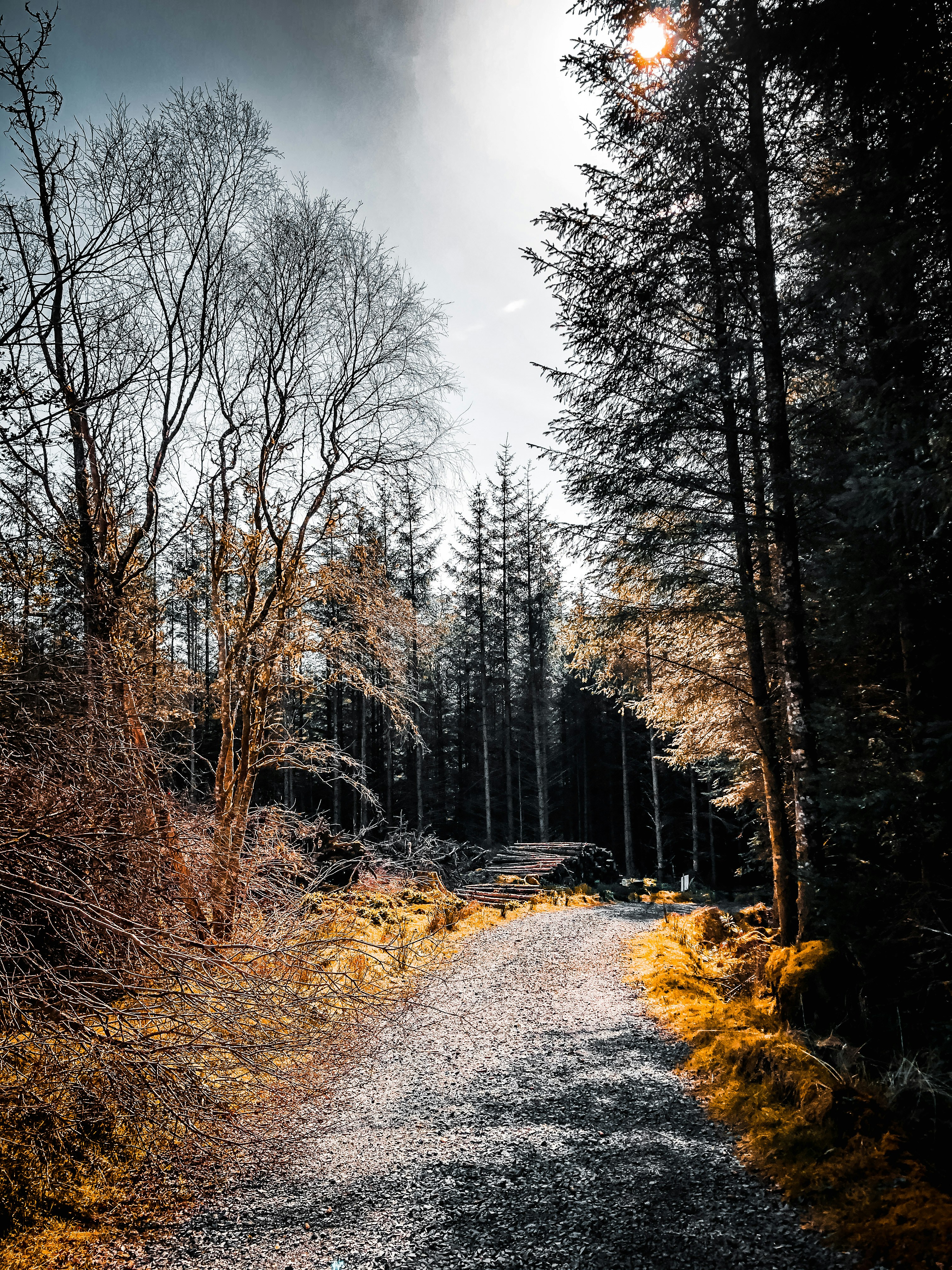 Photo by krichardson