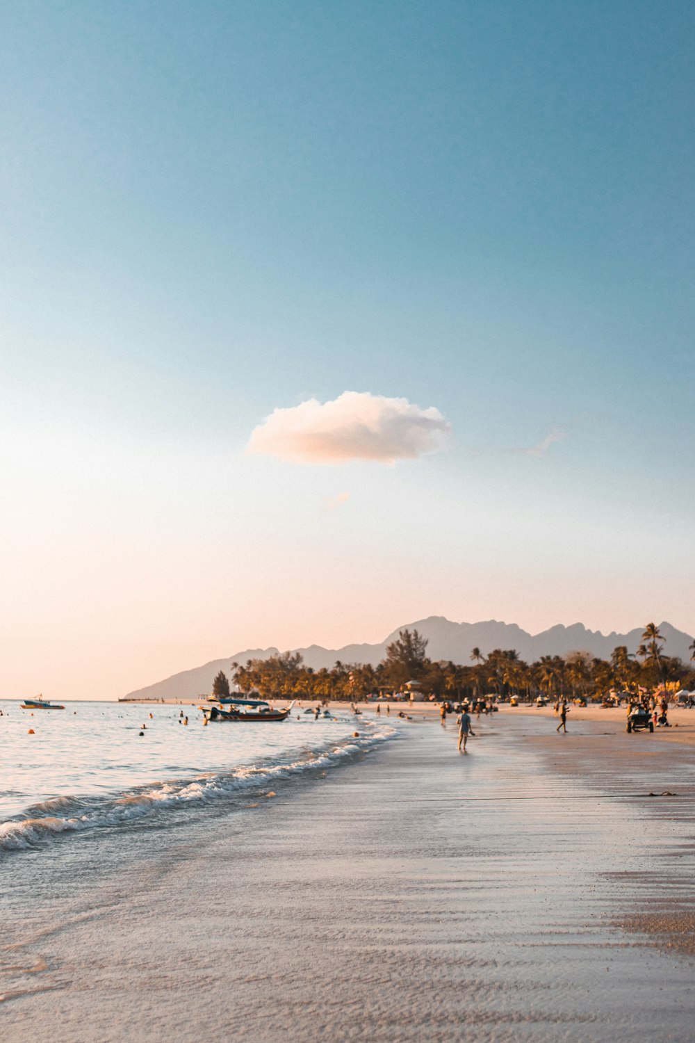 people on beach during daytime