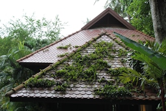 A sloped roof is covered with tiles and interspersed with patches of green foliage. The roof is part of a wooden structure surrounded by dense greenery, including tropical trees and plants.