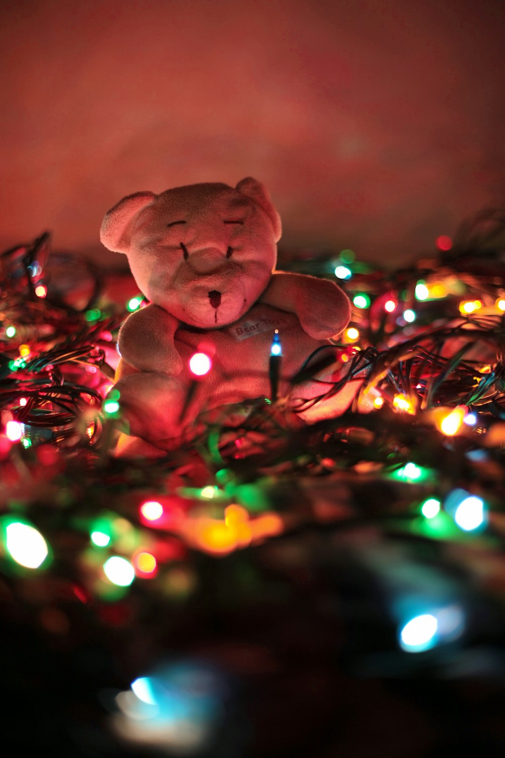 ours brun en peluche sur le sapin de Noël