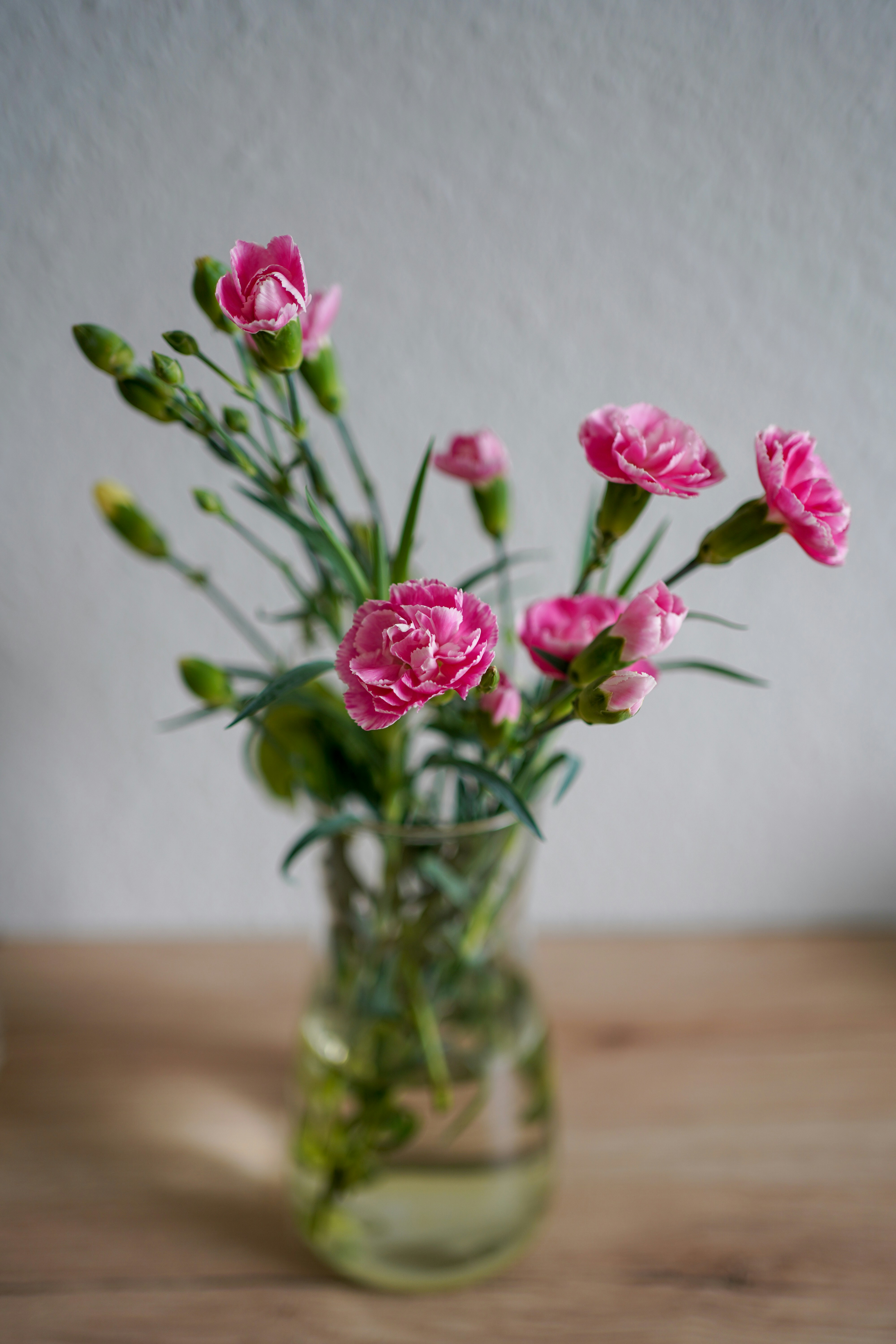 Photo by veronikadiegel