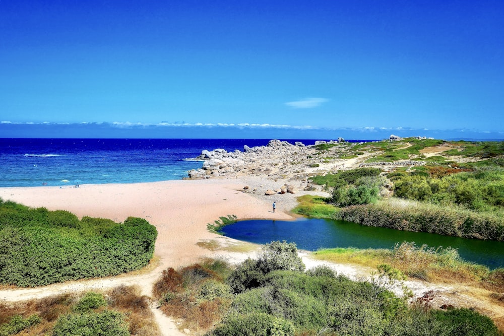 campo di erba verde vicino allo specchio d'acqua durante il giorno