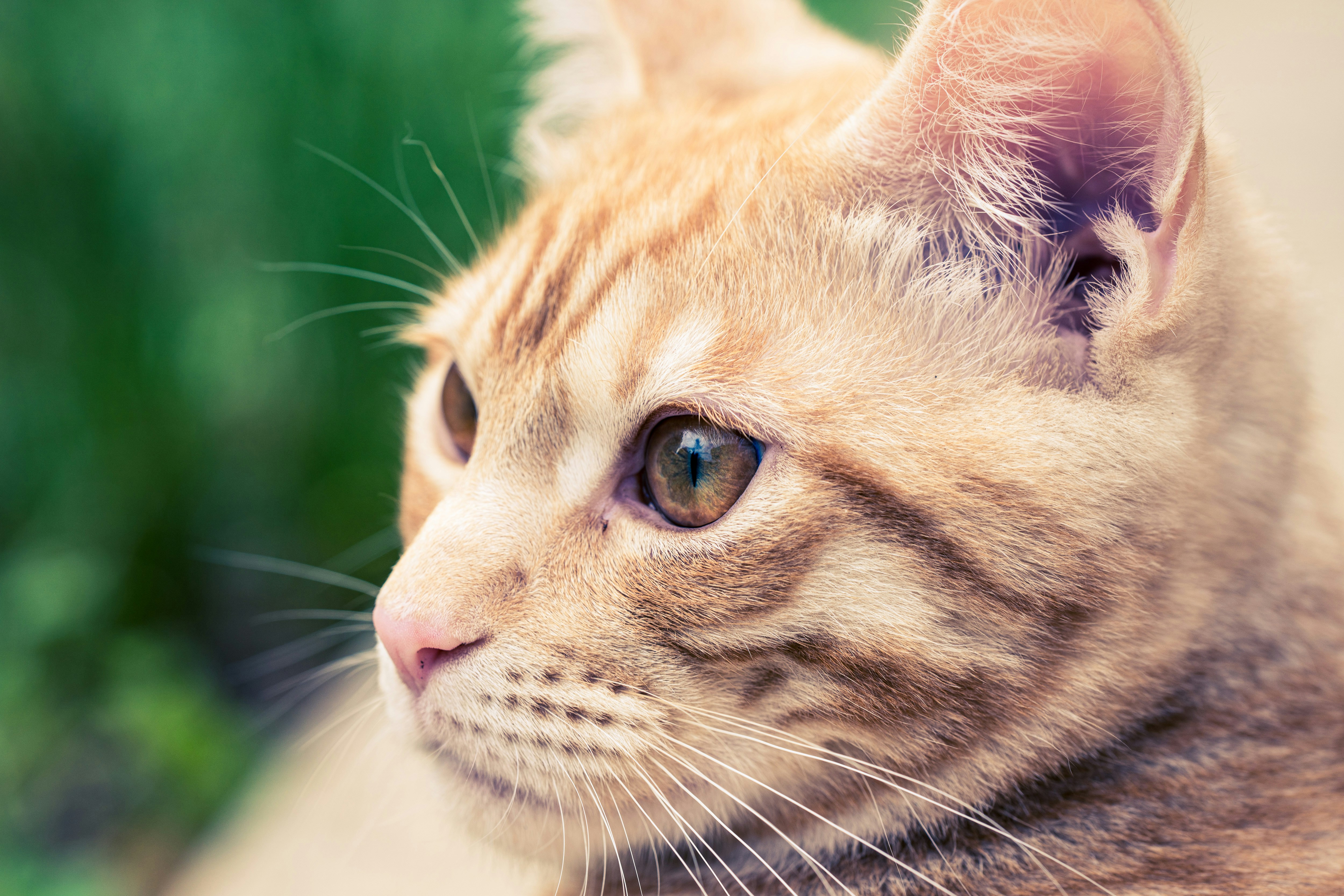 Great for Introverted or Sensitive Kids (image credits: unsplash)