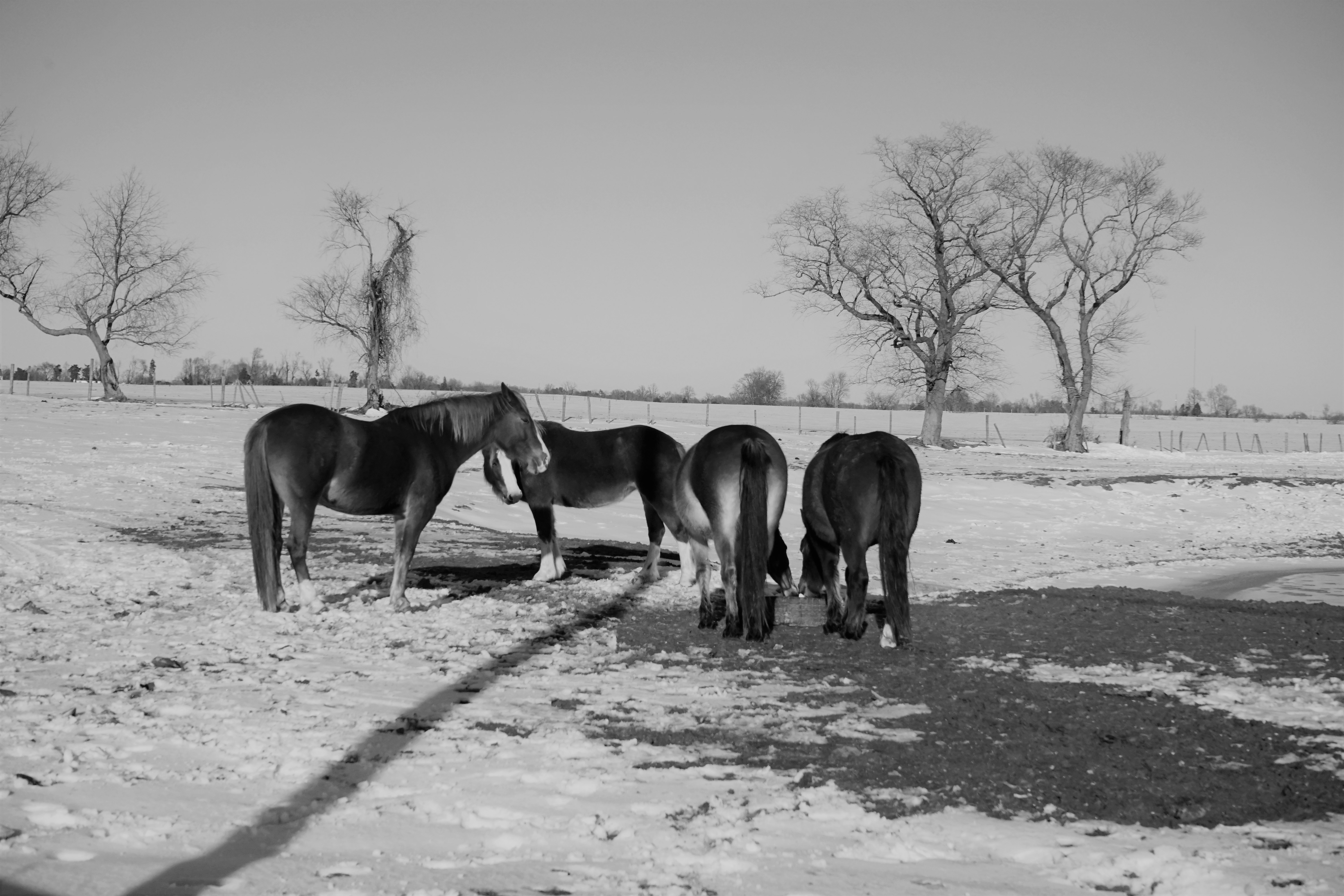 Photo by otiv345