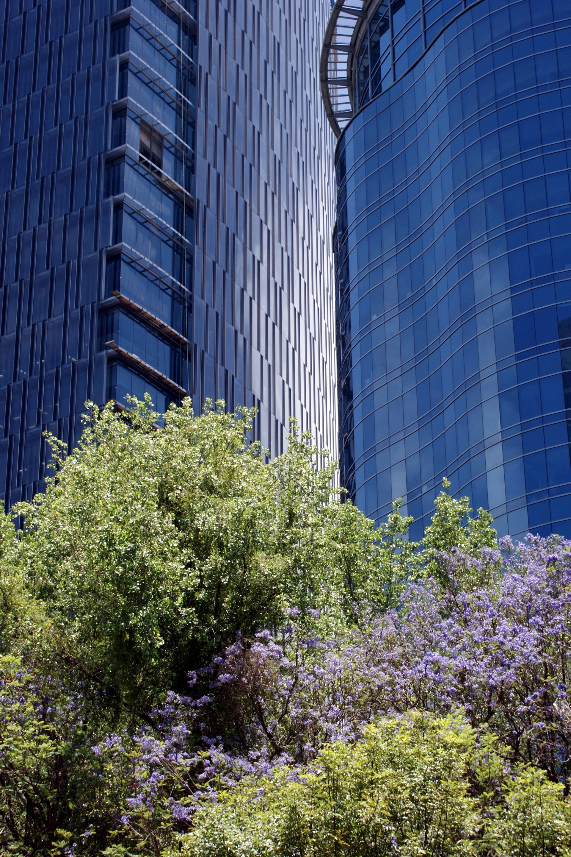 green trees near high rise building during daytime