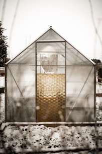 A greenhouse made of clear panels stands in a snowy setting. The structure is simple with a sloped roof, and the panels are partially translucent. The ground around the greenhouse is covered with a light layer of snow, and some plants can be seen inside.