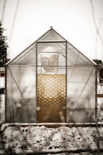 A greenhouse made of clear panels stands in a snowy setting. The structure is simple with a sloped roof, and the panels are partially translucent. The ground around the greenhouse is covered with a light layer of snow, and some plants can be seen inside.