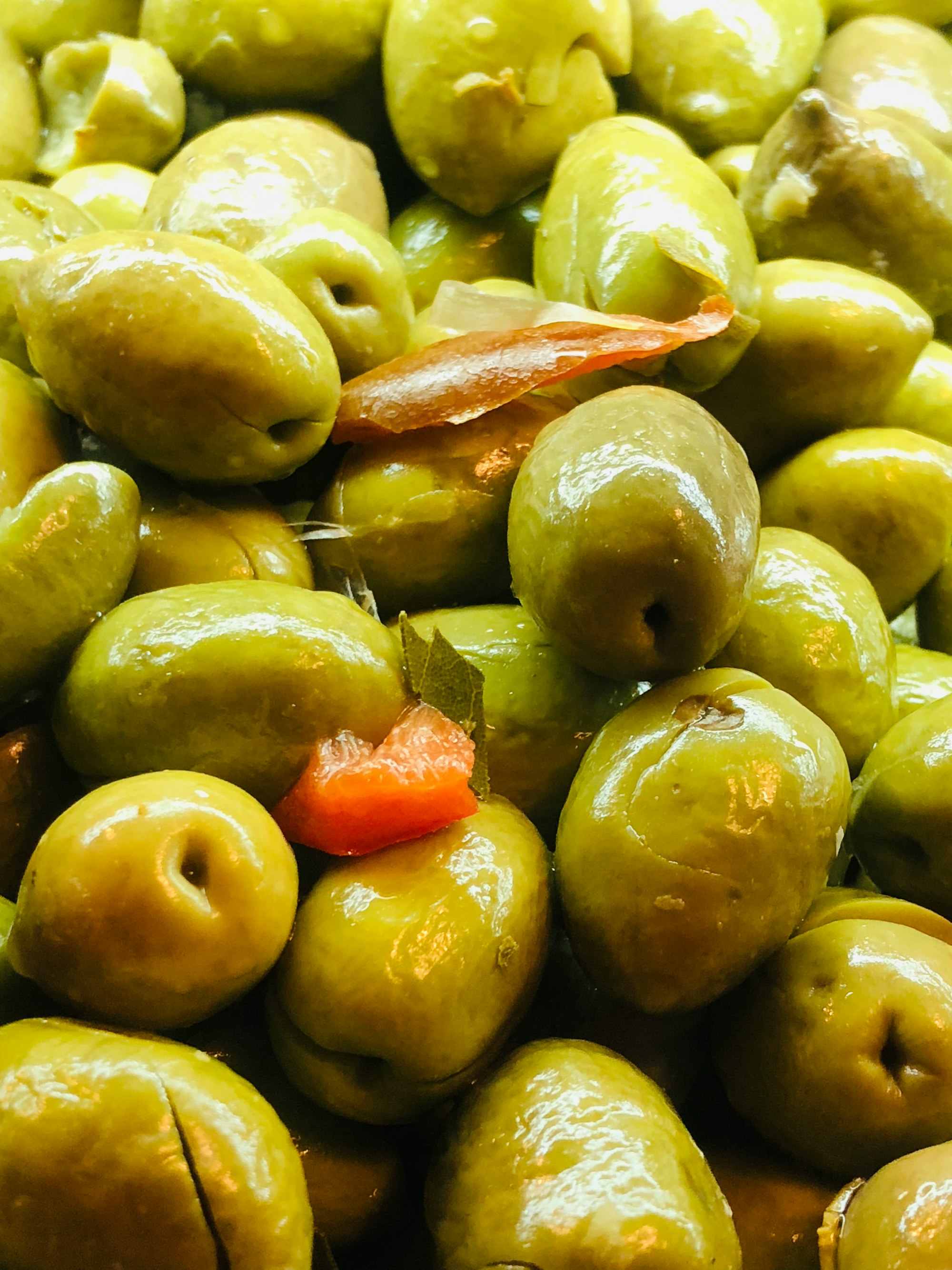 Can Dogs Eat Olives?