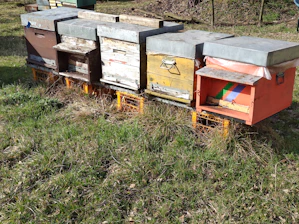 Close-up of freshly assembled wooden beehive boxes stacked and ready outdoors.