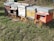 A row of colorful wooden beehives is set on orange crates amidst a grassy outdoor environment. Each beehive has a metal roof, and they are positioned closely together.