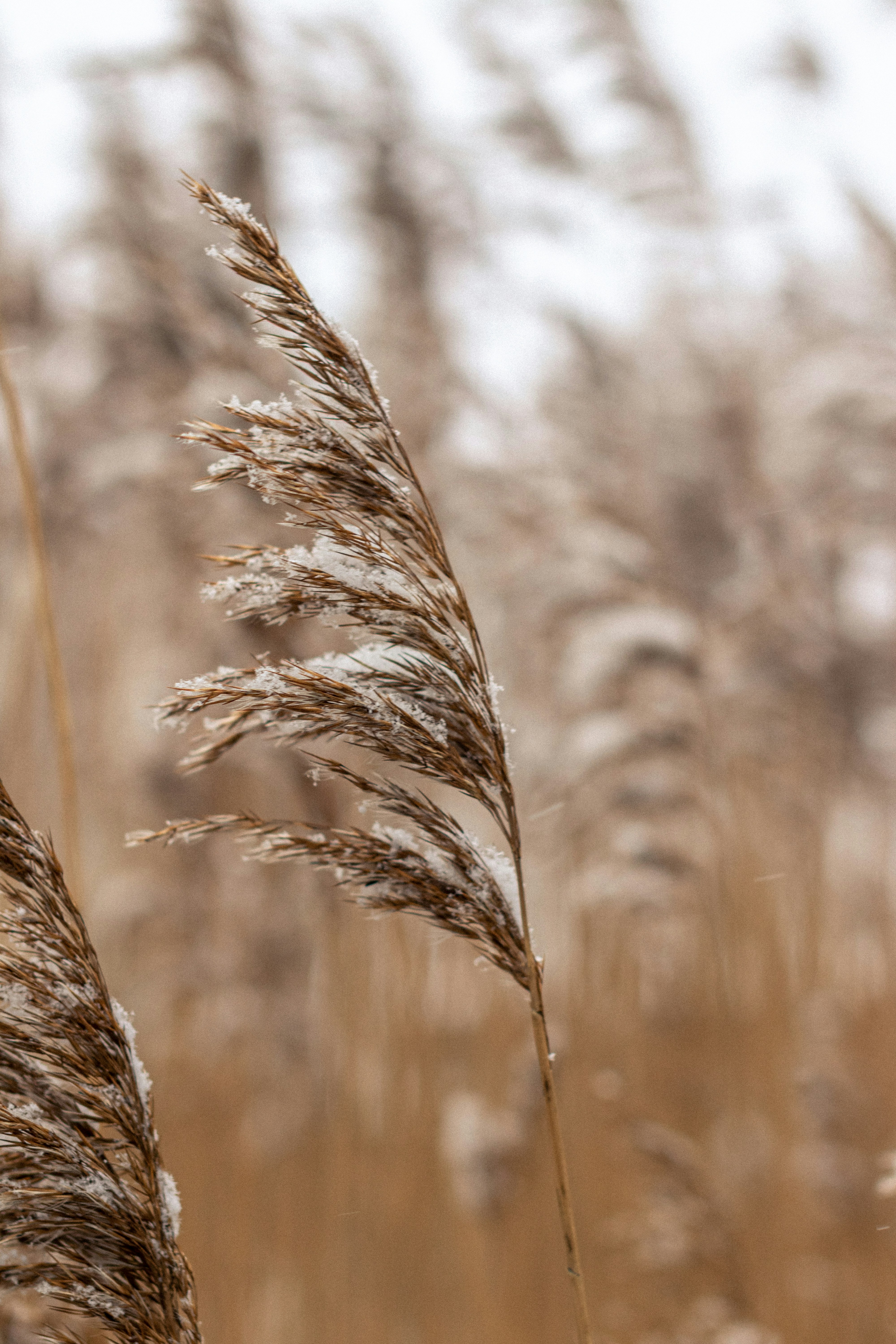 Photo by karlhornfeldt