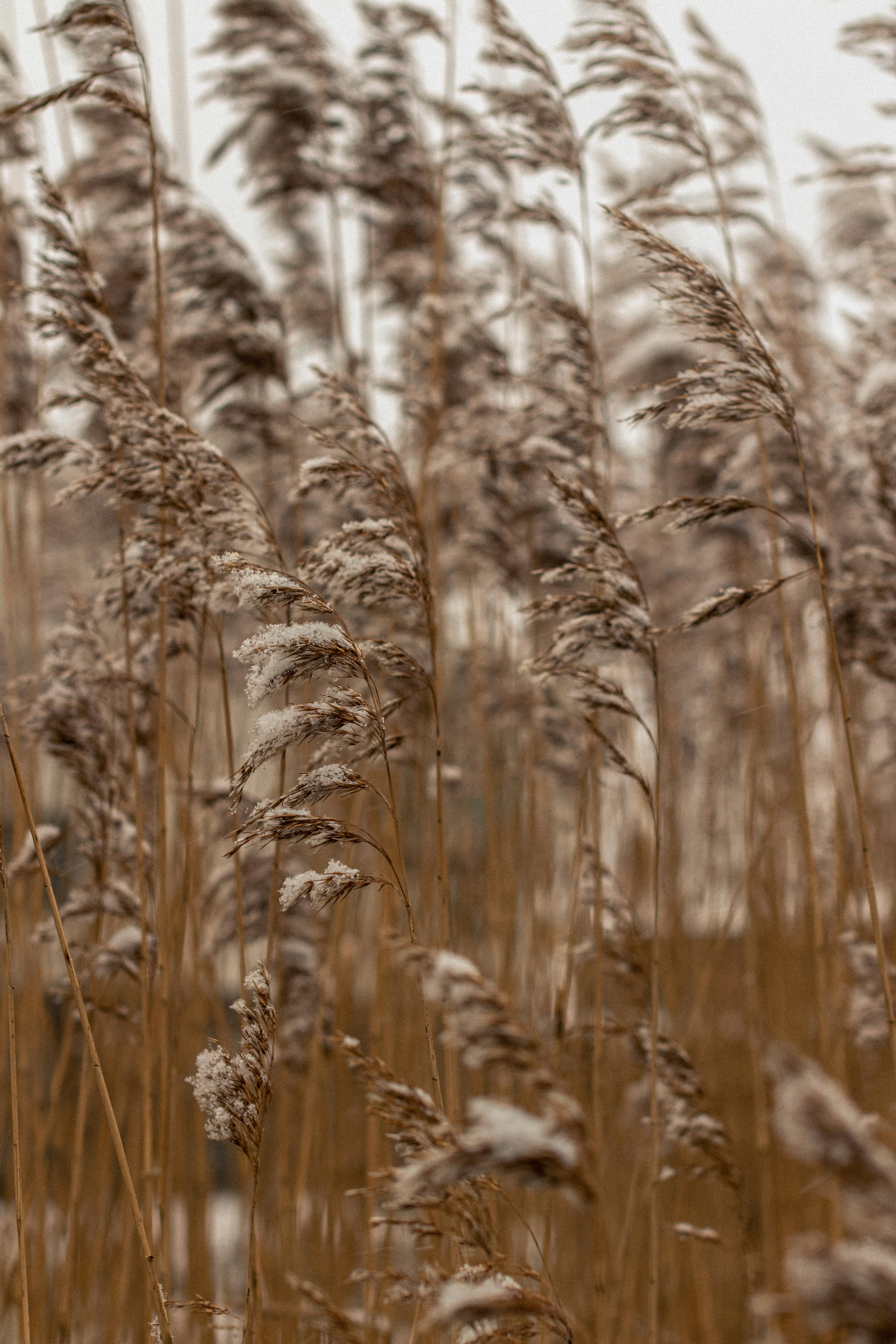 Photo by karlhornfeldt