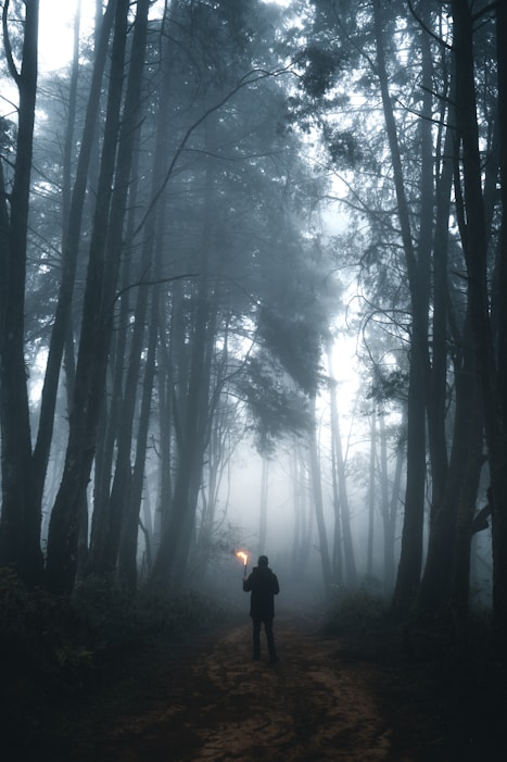 person in black jacket standing in the middle of forest during daytime