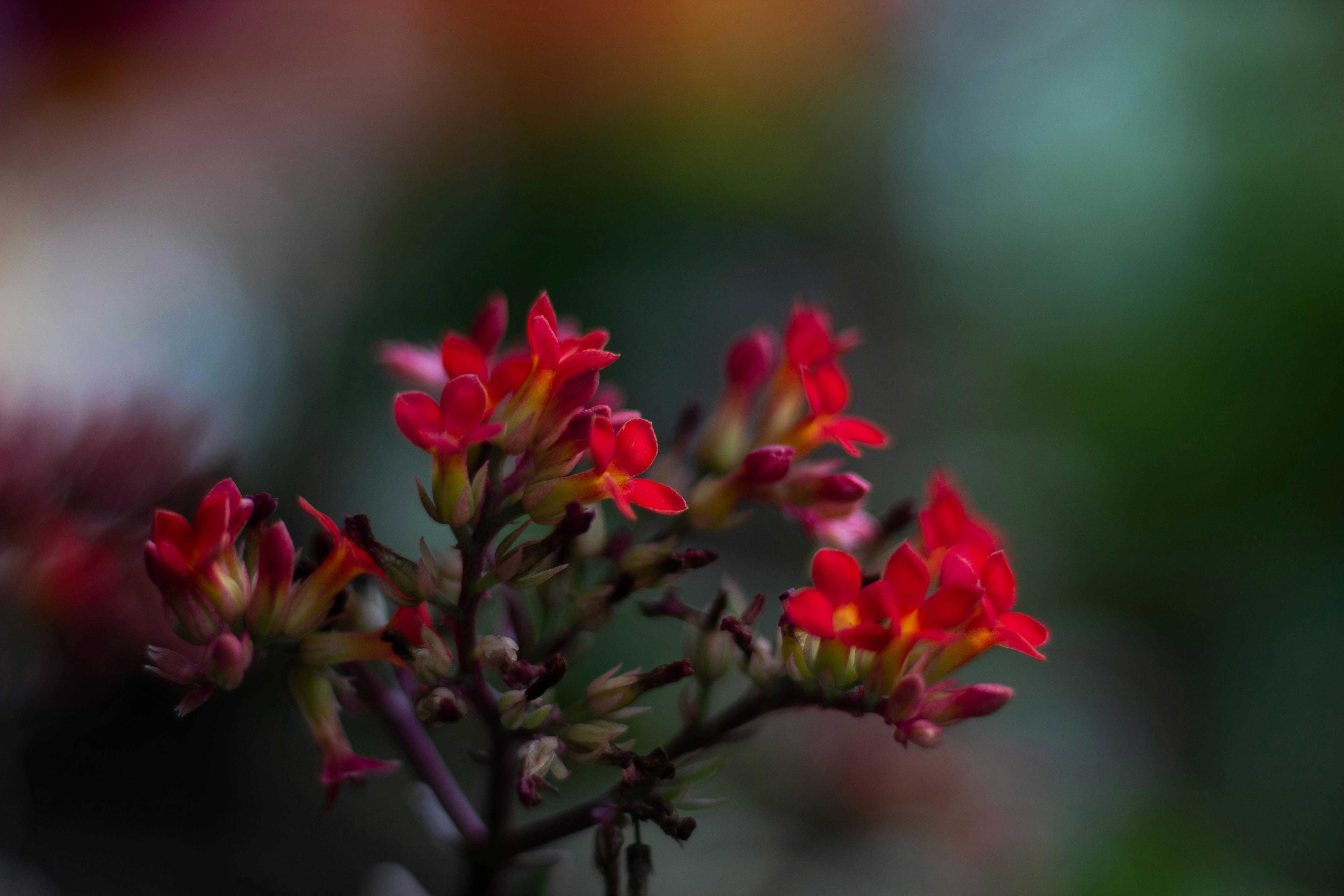 Sorong, Indonesia - None