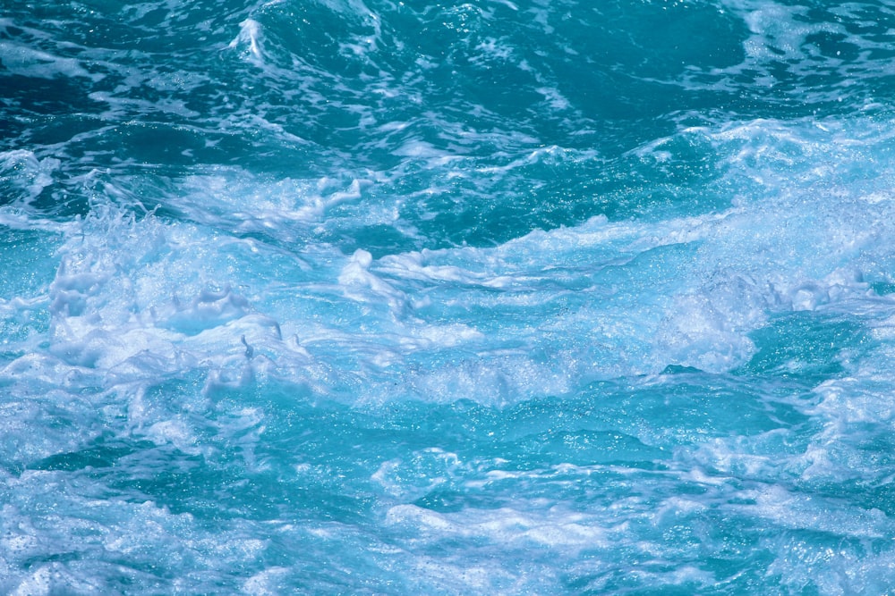 blue and white water waves