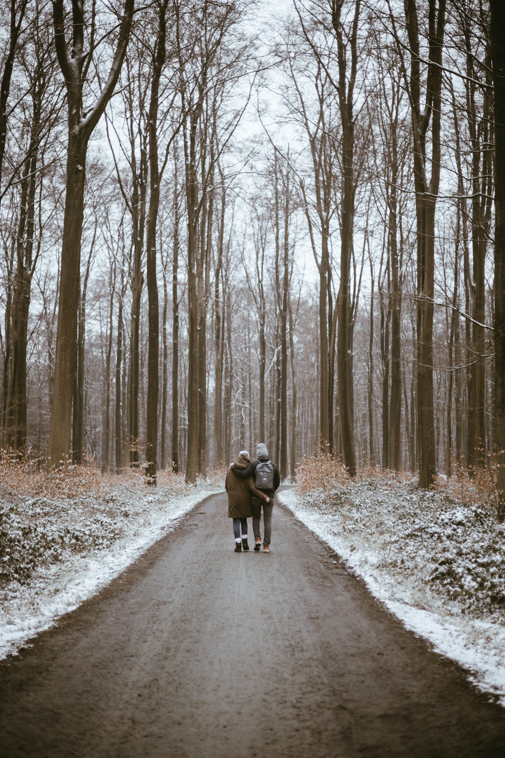 2 dogs running on road between bare trees during daytime