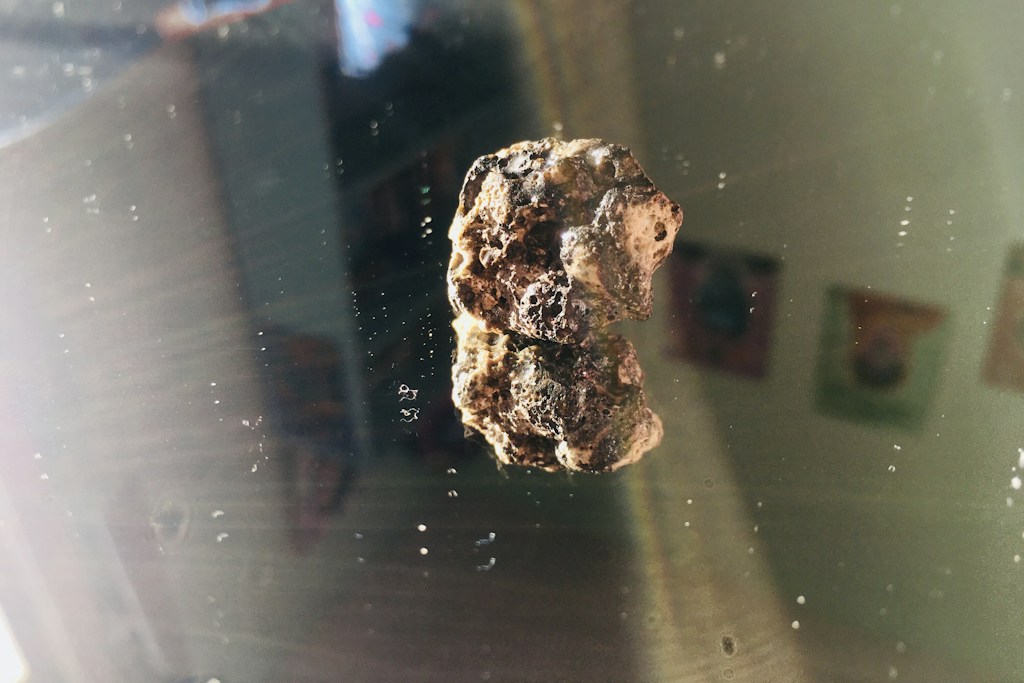 Iron Meteorite