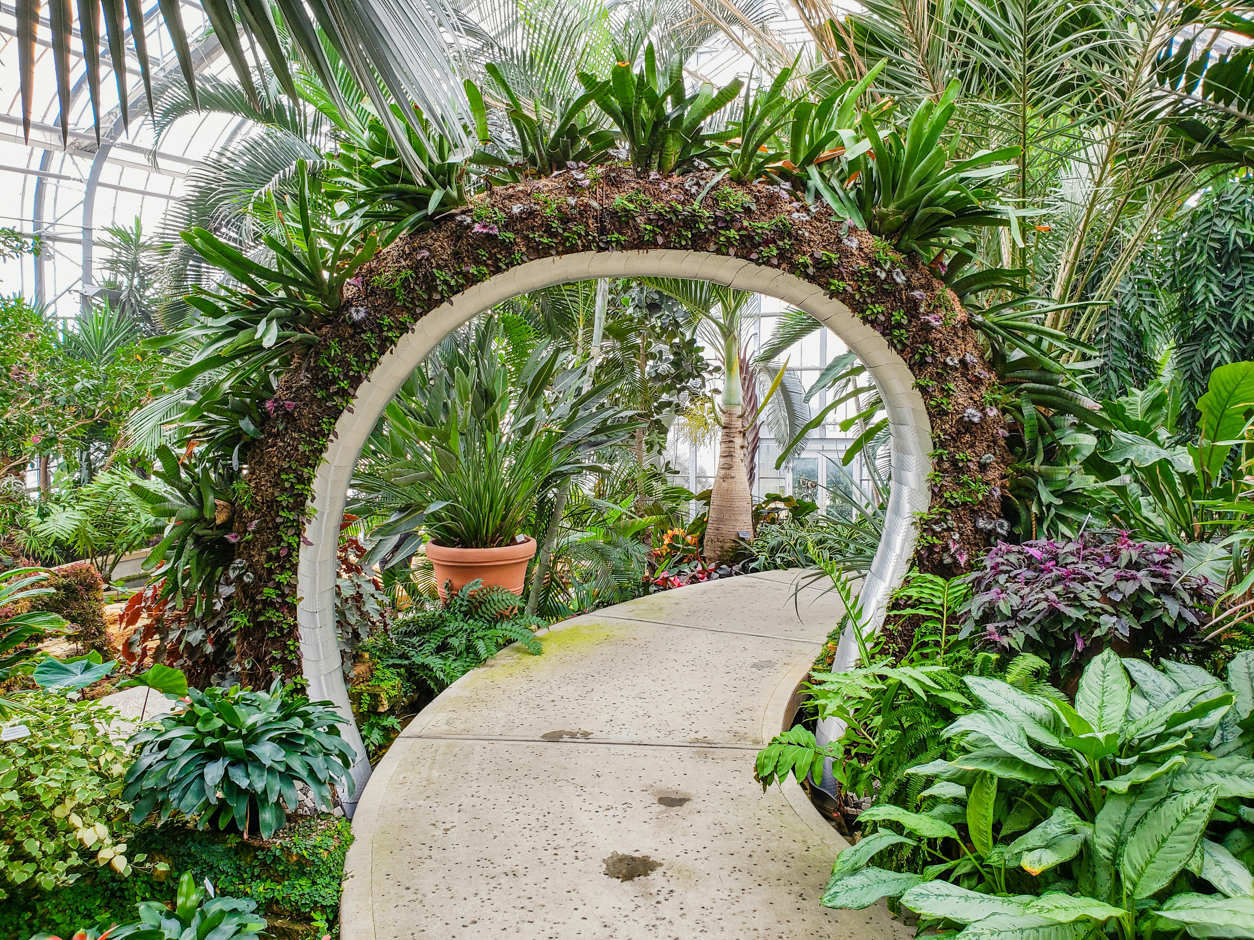 Arch designed to look like a serpent arching over the walkway.