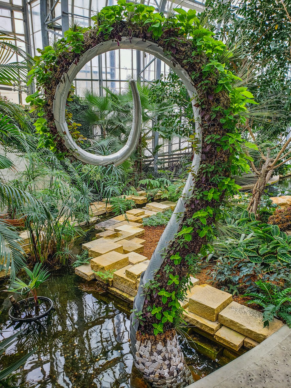 green plants on green metal frame