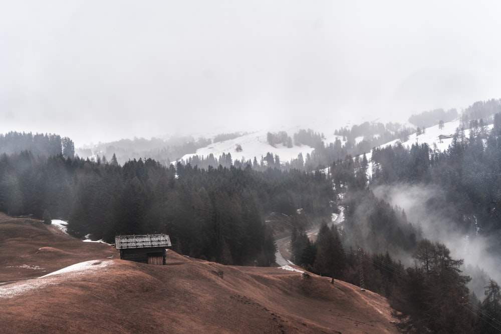 white wooden house on brown field near green trees and mountain during daytime