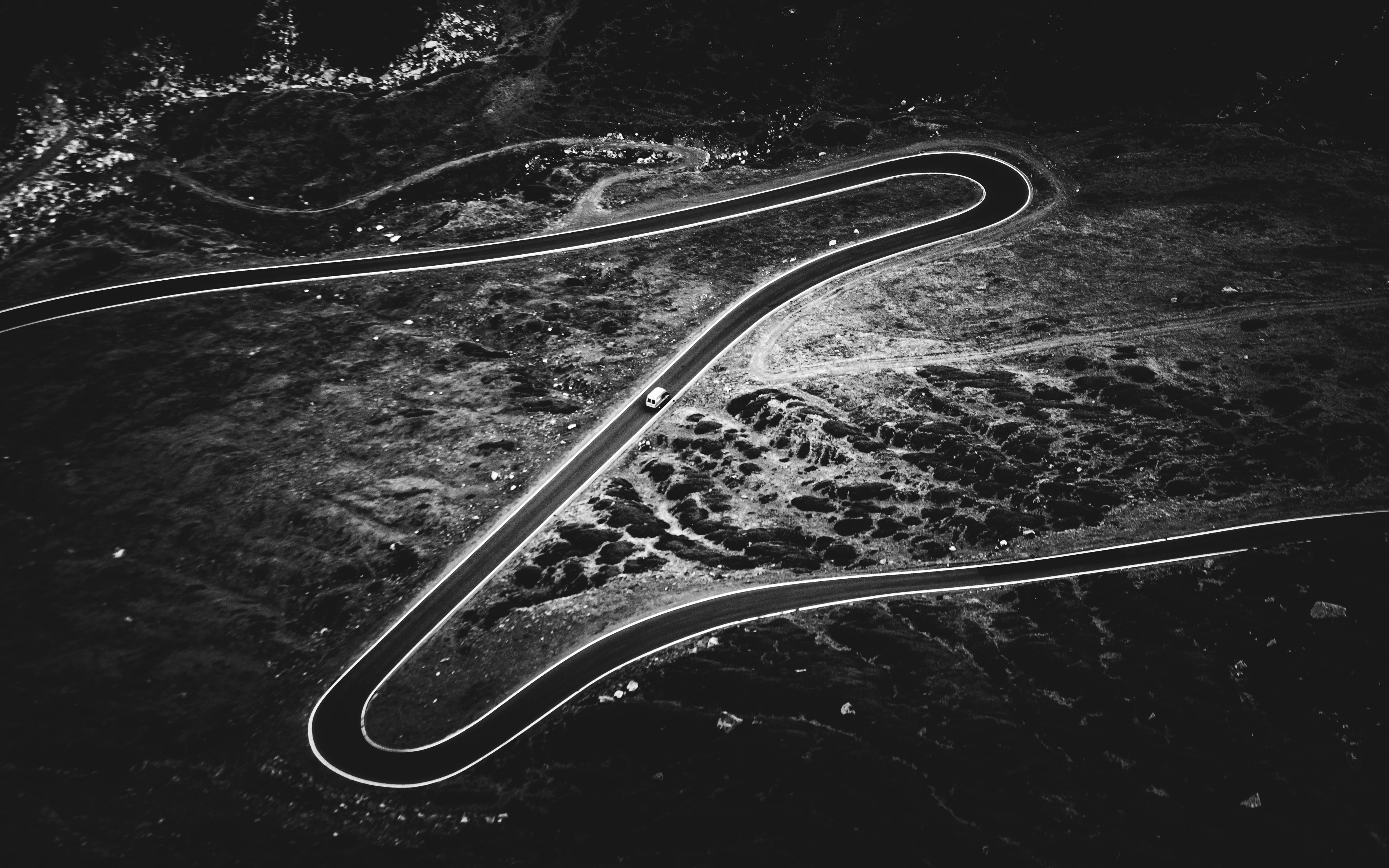 Quisque libero metus