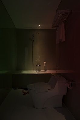A dimly lit bathroom features modern fixtures including a toilet and a bathtub. A handheld shower head is mounted on the wall. There are towels neatly arranged on a rack and a soap dispenser positioned near the bathtub.