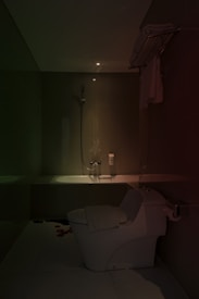 A dimly lit bathroom features modern fixtures including a toilet and a bathtub. A handheld shower head is mounted on the wall. There are towels neatly arranged on a rack and a soap dispenser positioned near the bathtub.