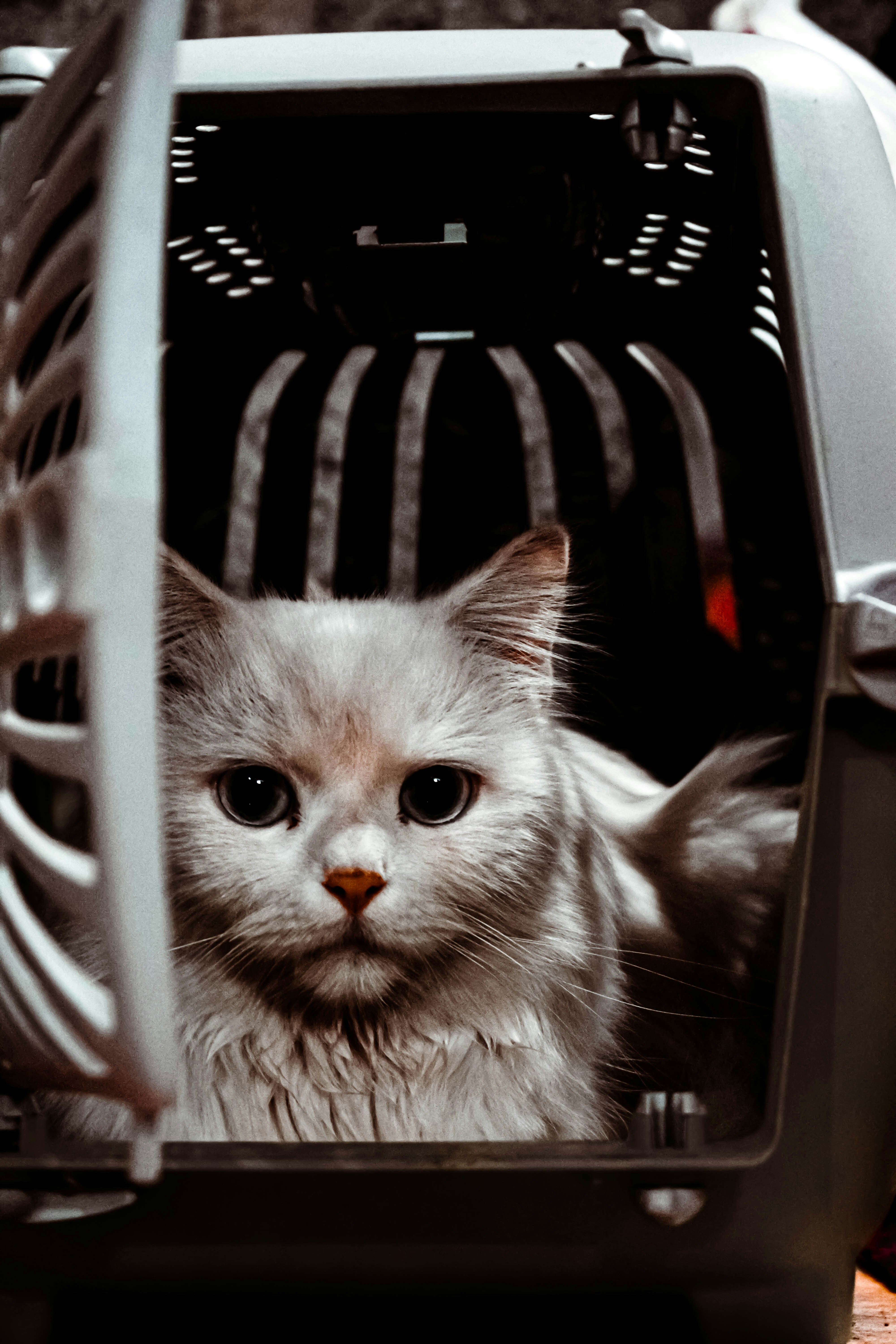 Cozy Cat Travel Cage