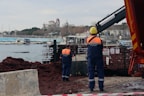 Workers in safety gear, including helmets and high-visibility vests, stand near a waterfront. A crane is present, possibly involved in construction or maintenance work. In the background, there are several boats moored, and a large building with towers is visible across the water. The foreground shows a pile of seaweed or debris.