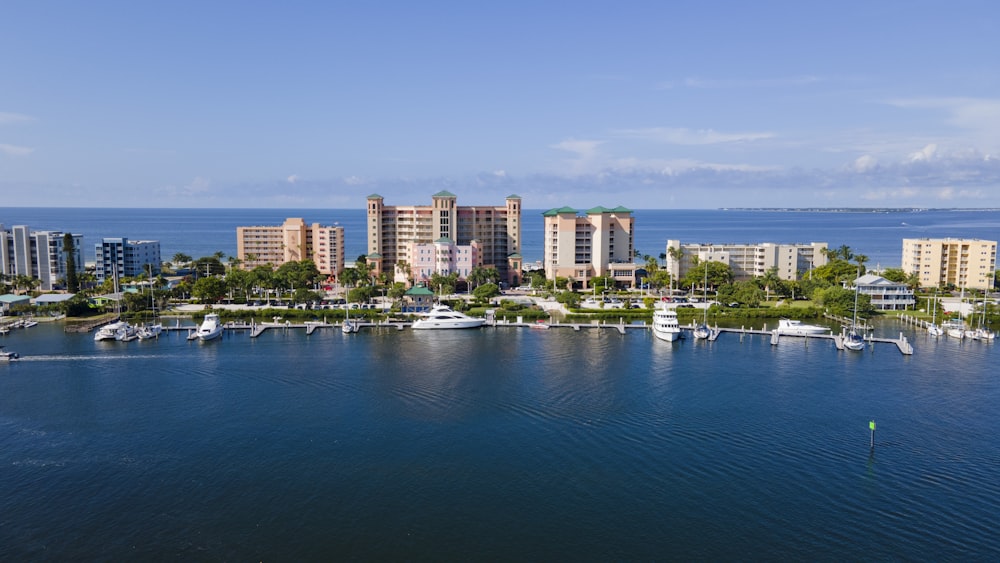 city skyline across body of water during daytime