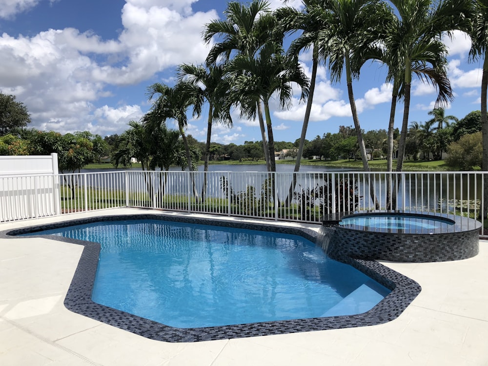 swimming pool near palm trees during daytime