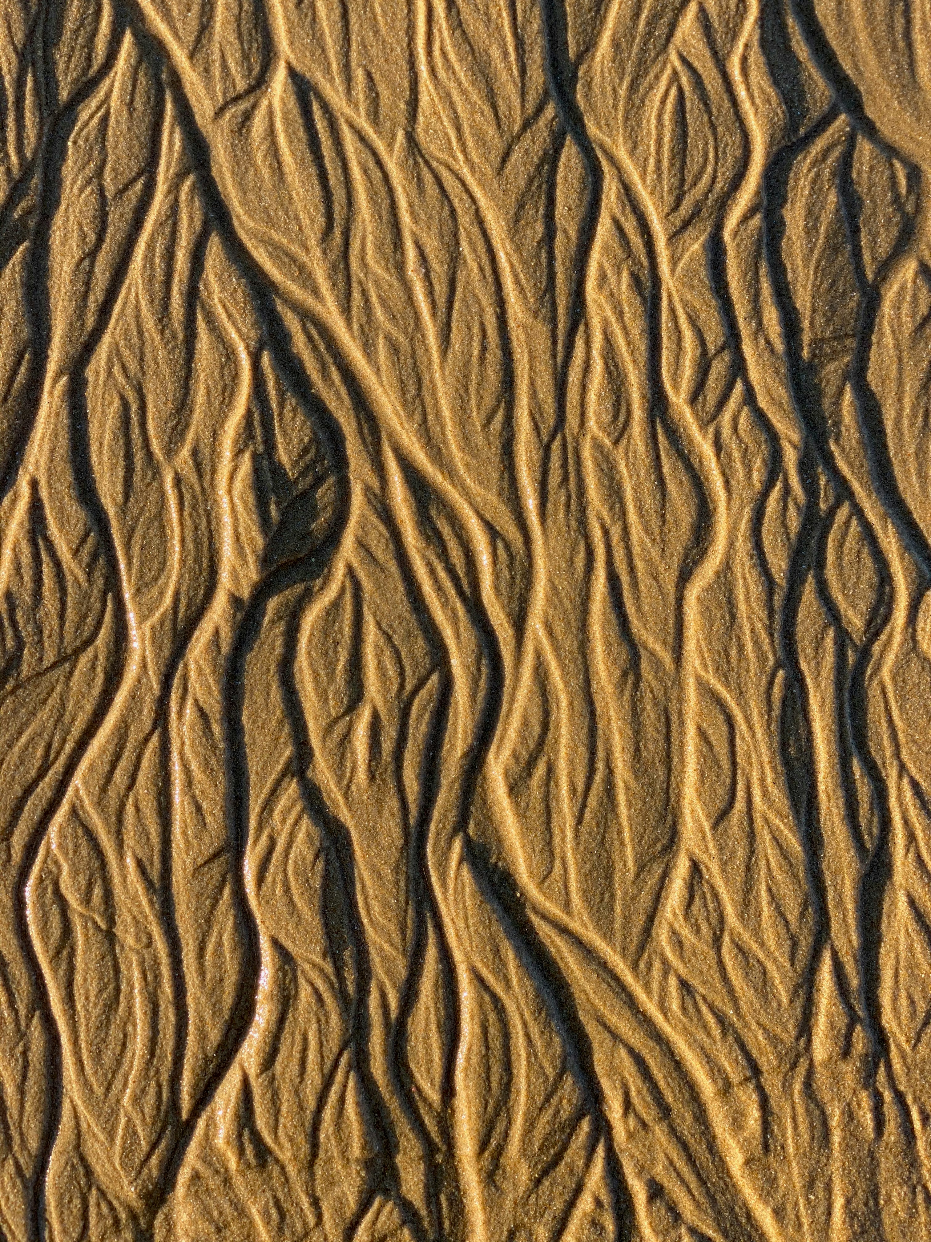 Photo by misslacitos