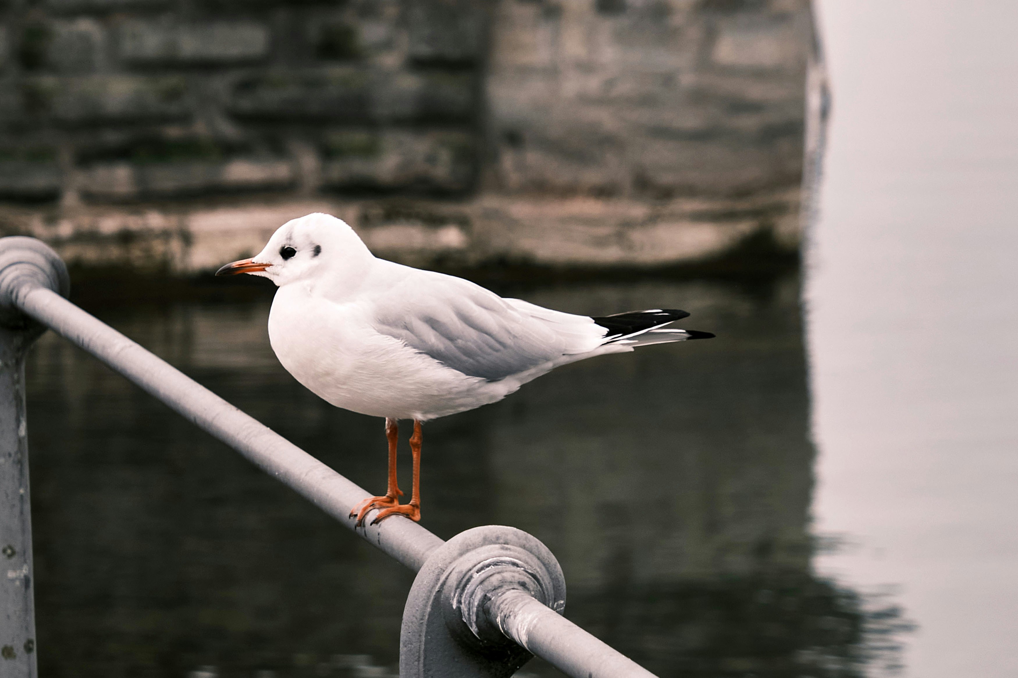 Photo by marcus_ganahl