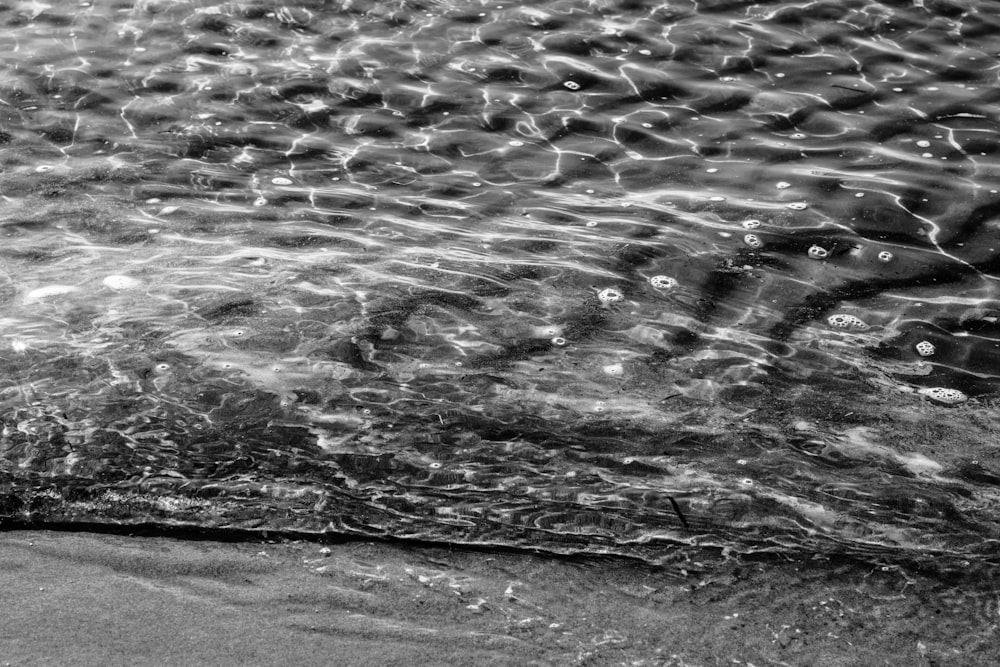 grayscale photo of water splash