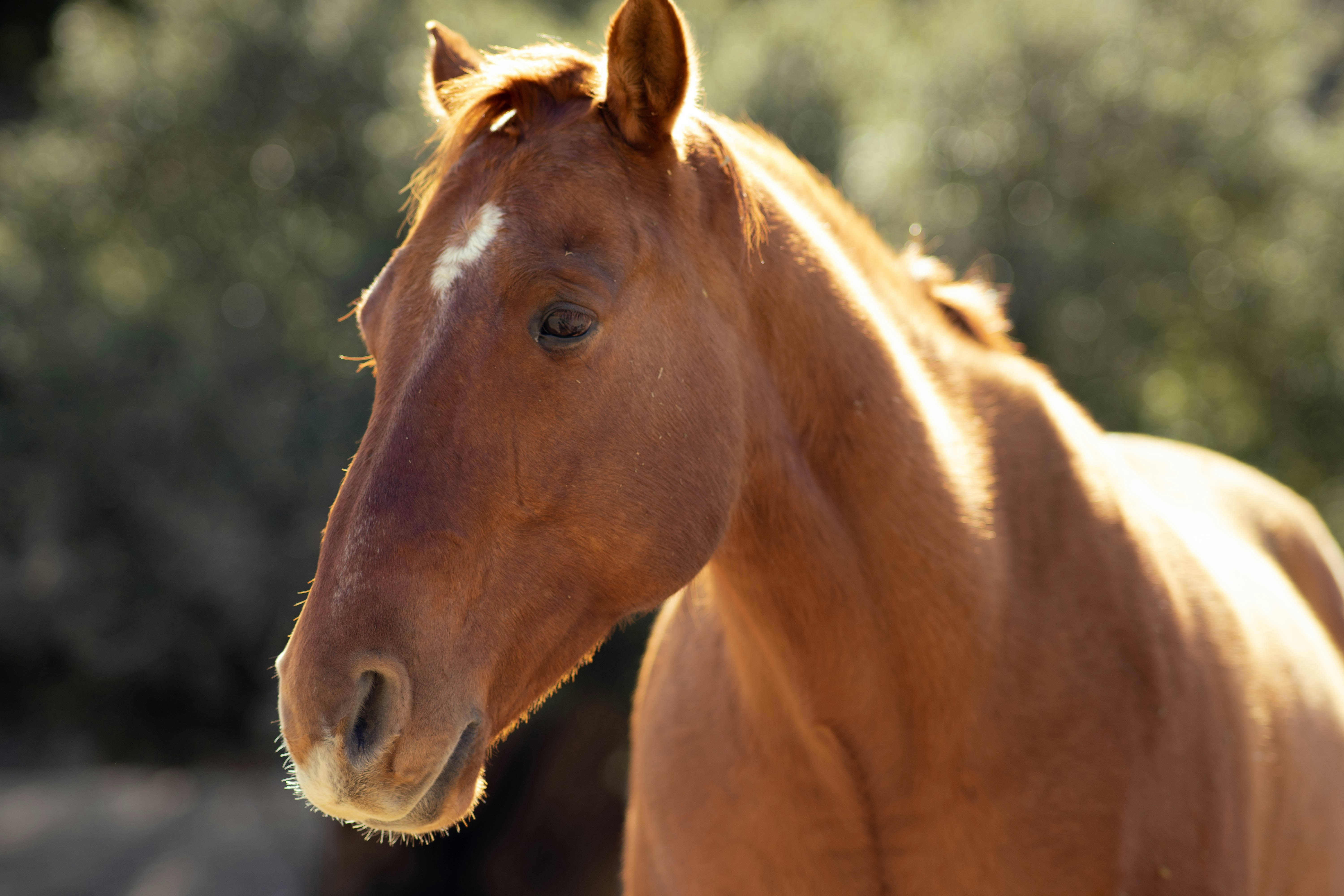 Photo by beyondblueskys