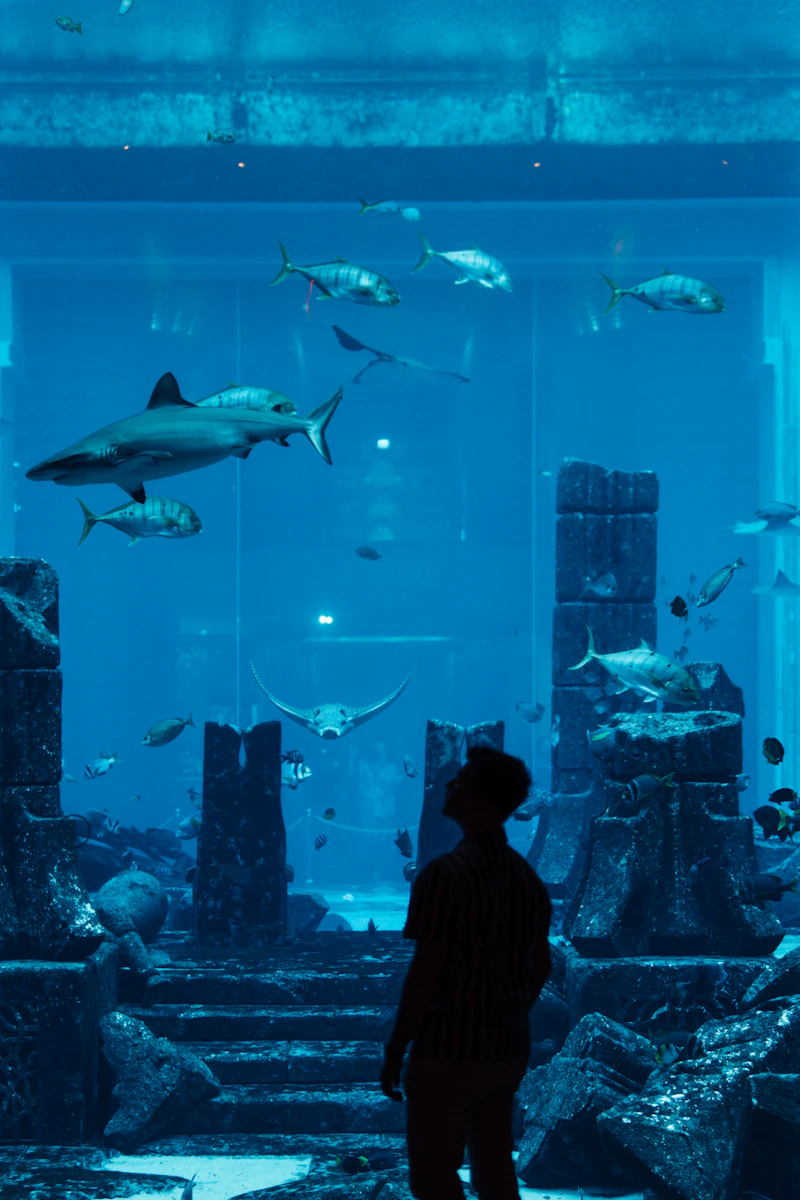 Dubai Aquarium Guide