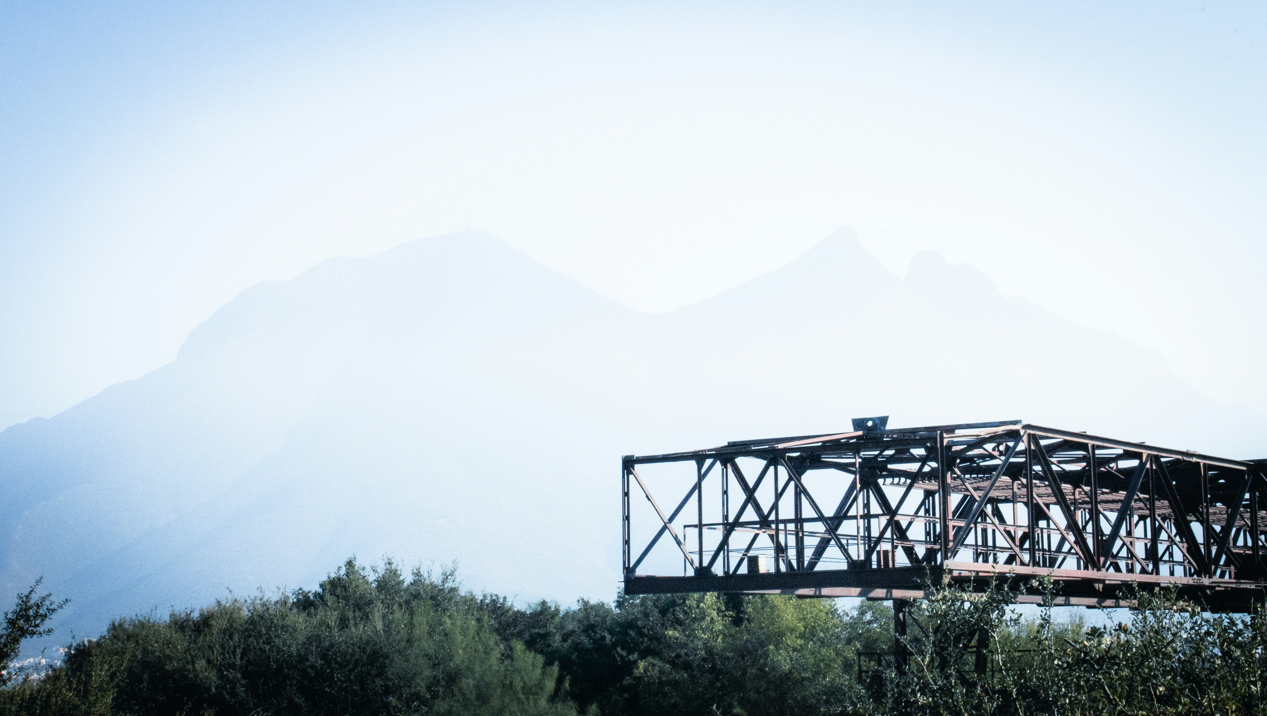 green trees under white sky during daytime